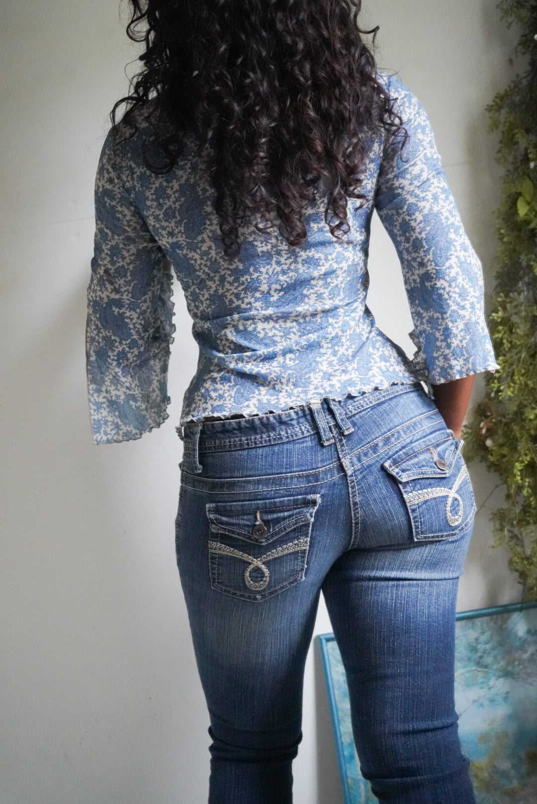 Y2K Paisley Mesh Flare Sleeve Top