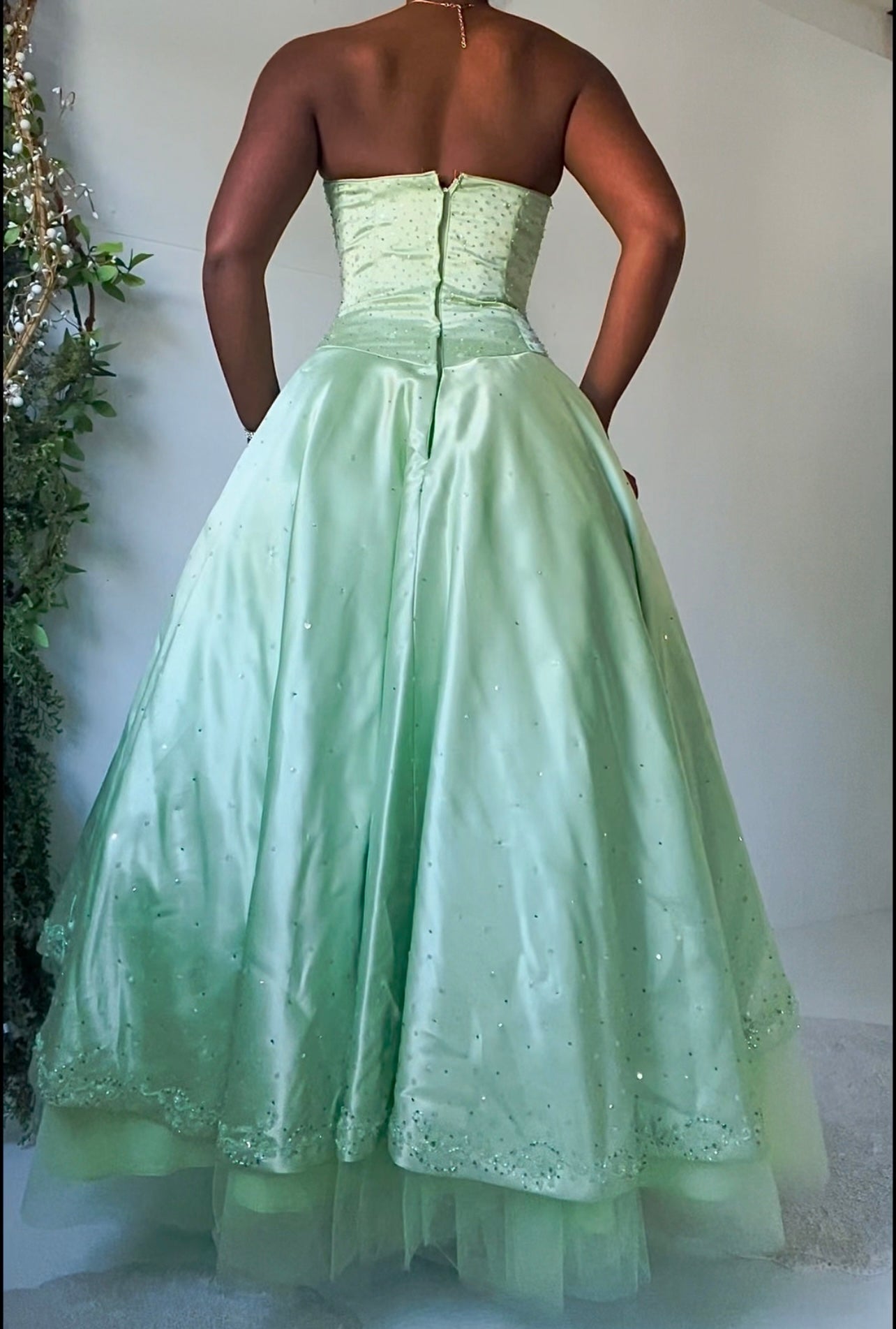 Y2K Princess Tiana Gown