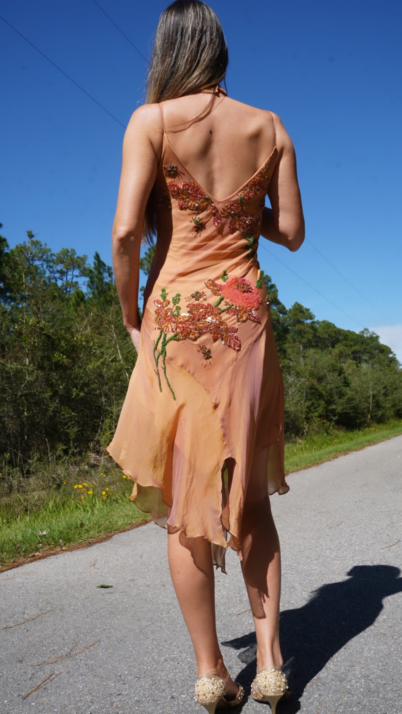 Iridescent Silk Beaded Fairy Dress