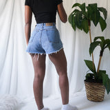 Vintage 90’s Distressed Shorts (27-28”)